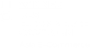 Winner Best E-Commerce Campaign - Asia E-Commerce