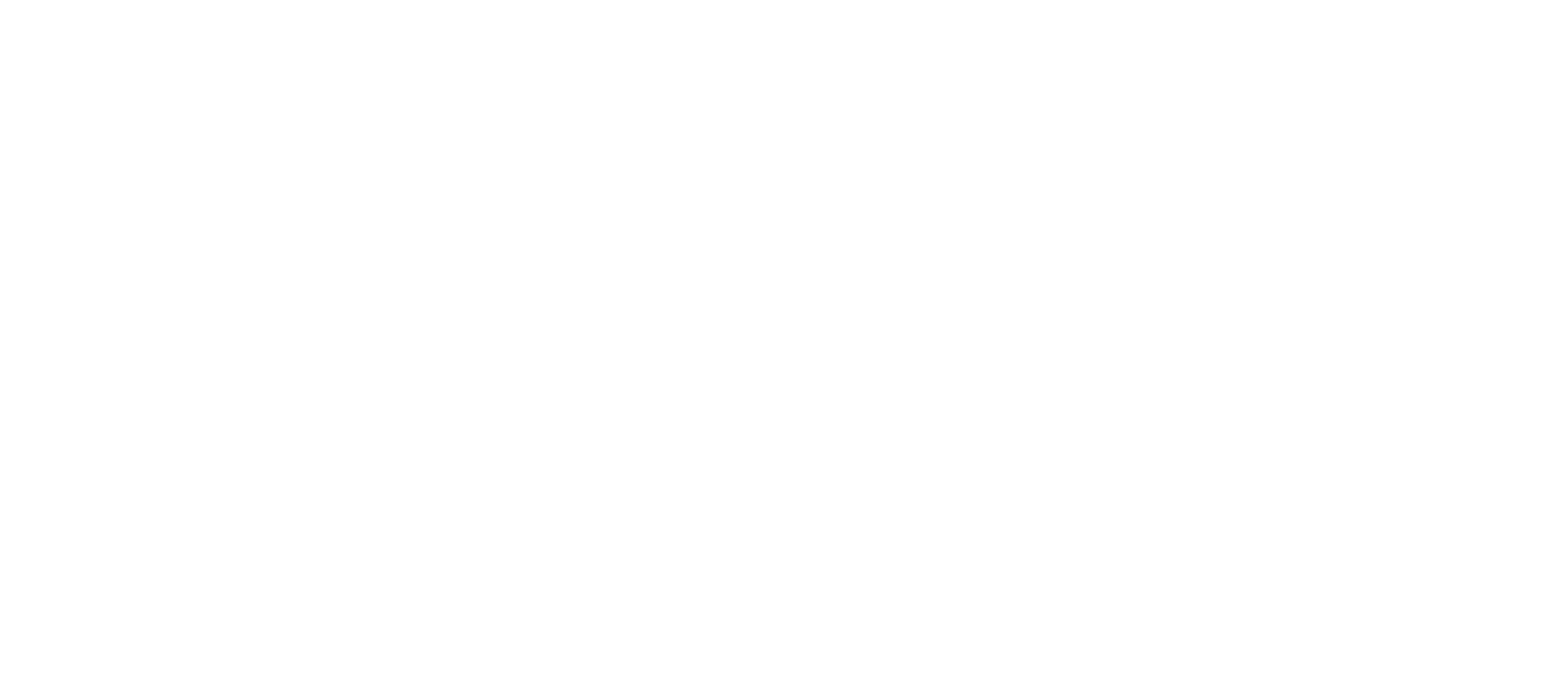 Premier Google Partner